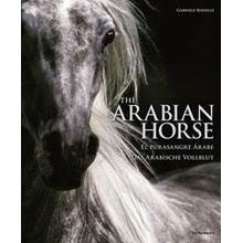 Arabian Horse - Gabriele Boiselle, Koenemann