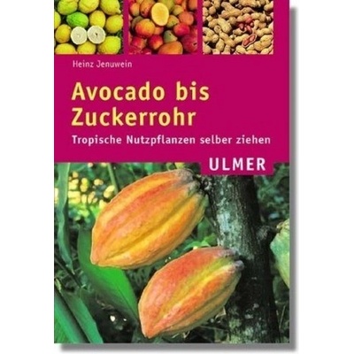 Avocado bis Zuckerrohr