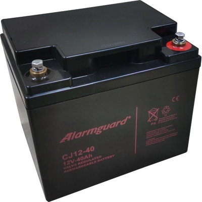 Alarmguard 12V 40Ah 480A
