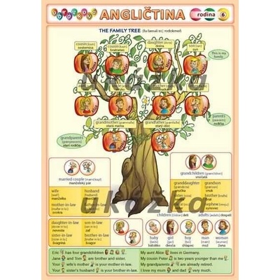 Obrázková angličtina 6 - rodina