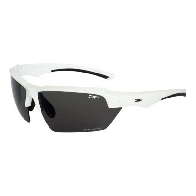 3F Vision Version 1839