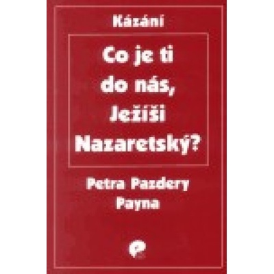 Co je ti do nás, Ježíši Nazaretský? - Pazdera Payne Petr