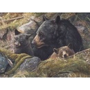 Cobble Hill Dvakrát tolik lásky 1000 dielov