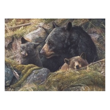 Cobble Hill Dvakrát tolik lásky 1000 dielov