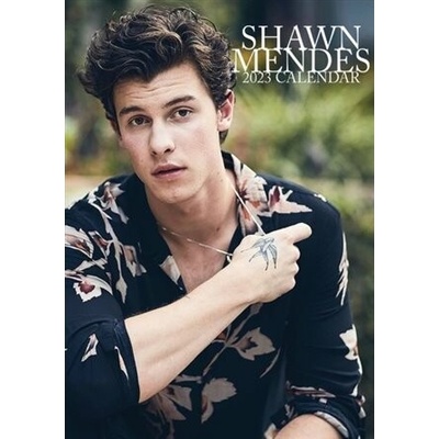 Shawn Mendes 297 x 42 cm 2023