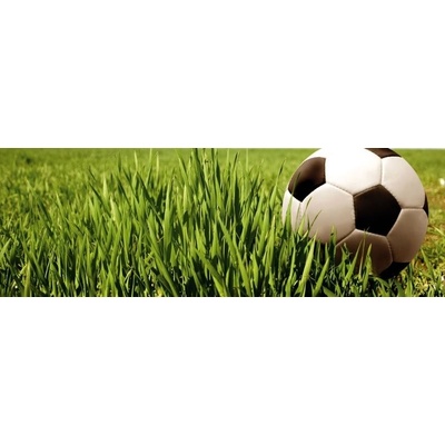 Dimex Samolepicí fototapeta na kuchyňskou linku Fotbal KI180-038 Fototapety do kuchyně 180 x 60 cm