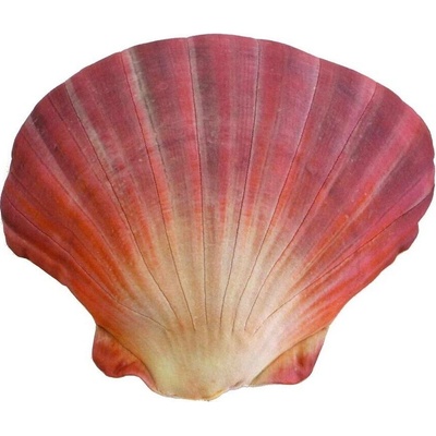 Gaby Vankúš Mušľa červená 45 cm