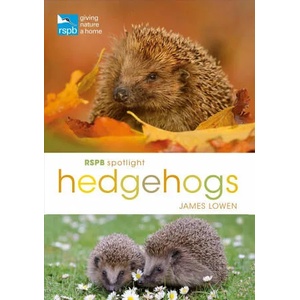 RSPB Spotlight Hedgehogs | James Lowen (ISBN: 9781472950086)