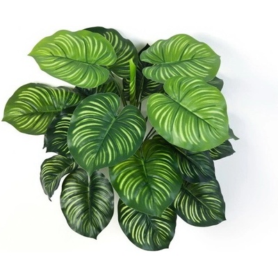 Umělá rostlina Calathea premium, 45cm
