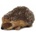 WWF Jez seated 18cm WWF