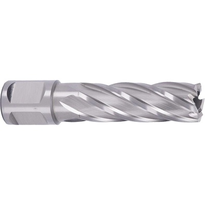 ABSE N-HS-W19-0180050