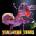 Yeah Yeah Yeahs - Mosquito (LP) (0602537293162)