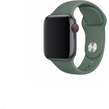 Coteetci silikonový sportovní náramek pro Apple watch 38 / 40 mm jehličnatá zelená CS2085-GN