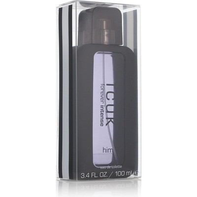 Fcuk Forever Intense toaletná voda pánska 100 ml