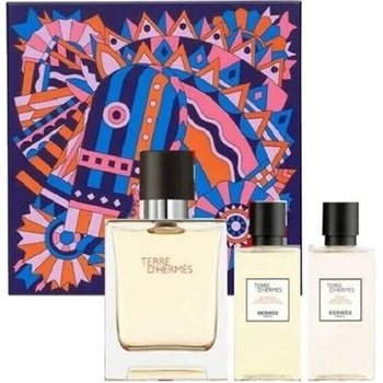 Hermès Terre D'Hermes подаръчен комплект с тоалетна вода 50мл за мъже 1 бр