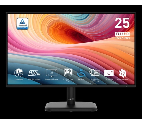 MSI PRO MP251L E2