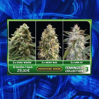 Advanced Seeds Feminized Collection #3 semienka neobsahujú THC 6 ks