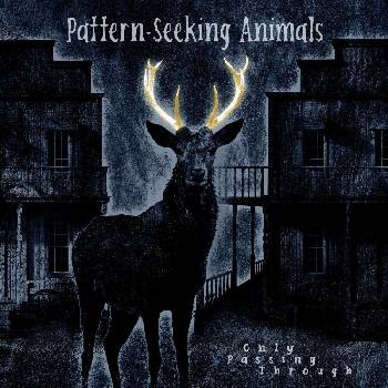 Pattern-Seeking Animals - Only Passing Through (2 LP + CD) (0194399822111)
