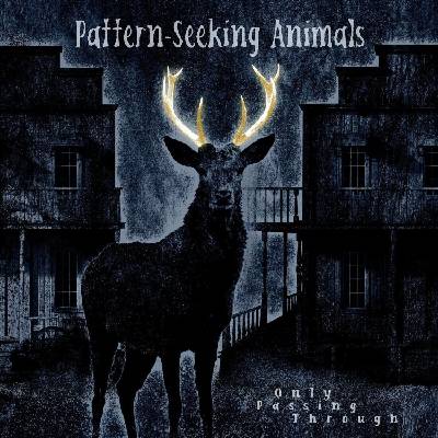Pattern-Seeking Animals - Only Passing Through (2 LP + CD) (0194399822111)