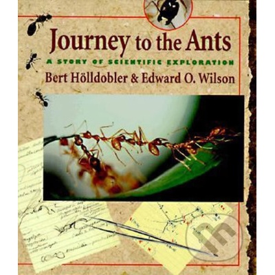 Journey to the Ants Holldobler Bert