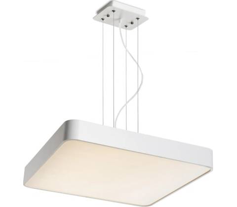 Rendl R11291