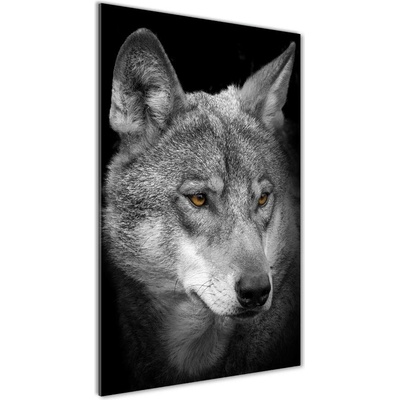 Vertikálny foto obraz fotografie na skle Portrét vlka 50x100 cm