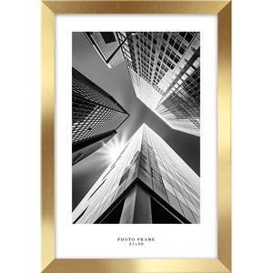 STYLER Рамка за стена в златно, 24 x 33 cm Floryda - Styler (RA-14842)
