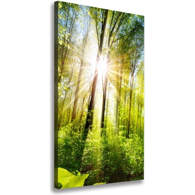 Vertikálny foto obraz na plátne Slnko v lese 50x100 cm
