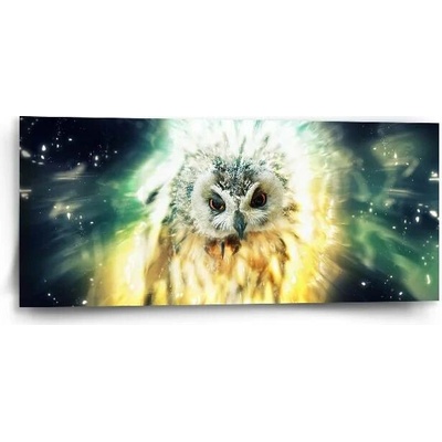 Sablio Obraz Sova - 110x50 cm