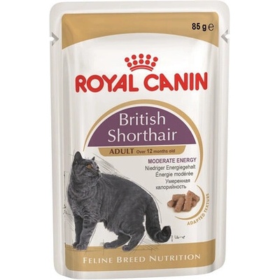 Royal Canin British Shorthair Gravy 24 x 85 g