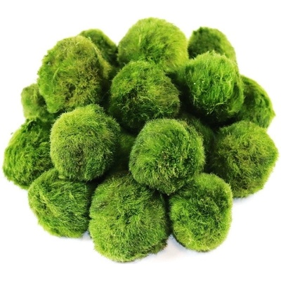 Gardners Set řasokoulí 20 ks