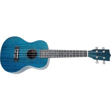 Tanglewood TWT 3