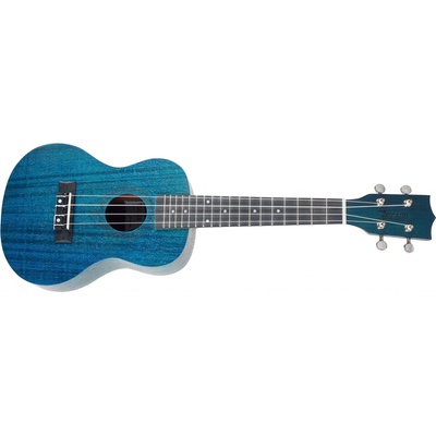 Tanglewood TWT 3