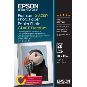 Epson C13S041706