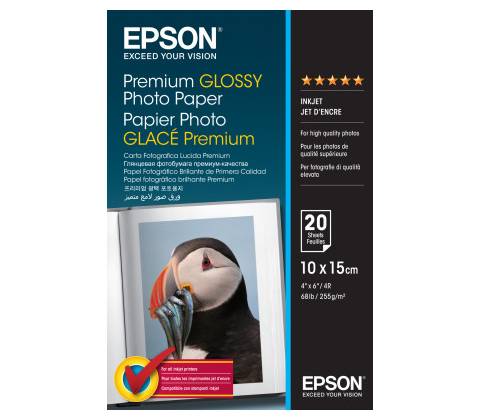 Epson C13S041706