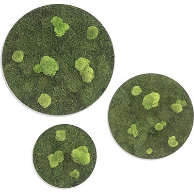Mechové obrazy styleGREEN set 3ks průměr 34/54/80 cm