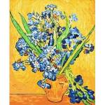 Ideyka Painting by numbers - Vase with irises 40x50