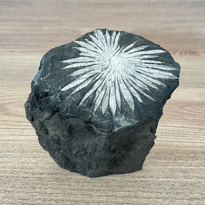 Nefertitis Chryzantémový kámen č. 7 NF64395 - cca 8 x 9,2 cm, 230 g