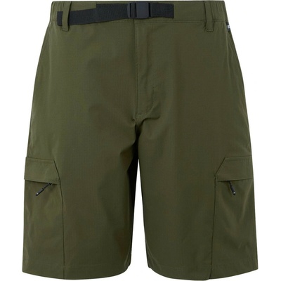 Regatta Mallen Shorts zelená