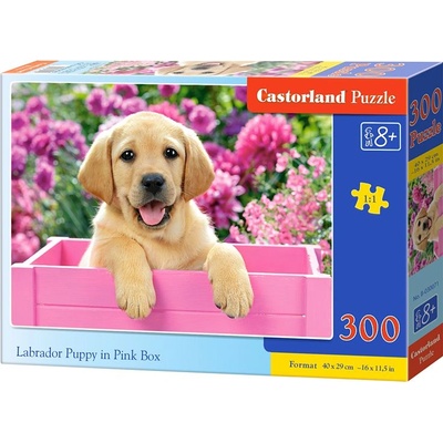 Castorland Labrador Puppy in Pink Box 300 pcs Пъзел 300 броя Фауна (030071) (030071)