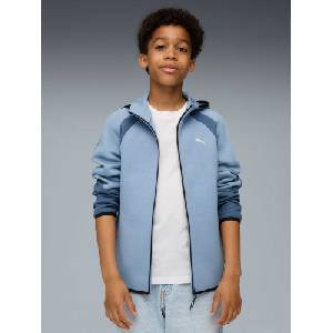 PUMA Суитшърт EVOSTRIPE Full-Zip Hoodie DK B (68886334)