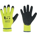CXS ROXY WINTER