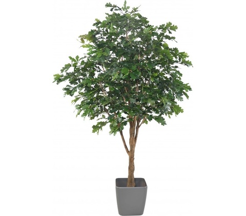 Dub strom, 280cm