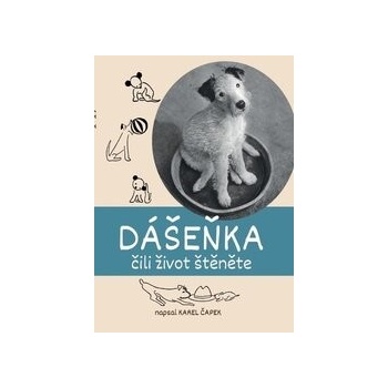 Dášeňka