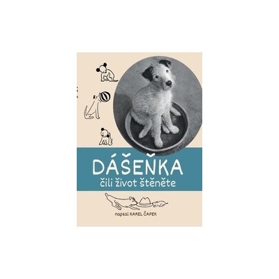 Dášeňka