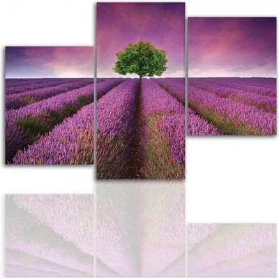 Divio Třídílný obraz na plátně vřesy, vzor 12010 Velikost: 120x180 cm