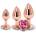 NS Novelties Rear Assets Trainer Kit Rose Gold Pink Heart