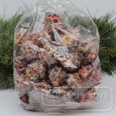 Pubescens loose cones 500g