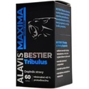 MAXIMA bestier Tribulus 60 kapslí