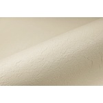 RENOLIT Фолио за басейн Relief - Sand (1 бр. ) - Дебелина 1, 8 mm / 25 x 1, 65 m / 41, 25 m2 (9501282423)